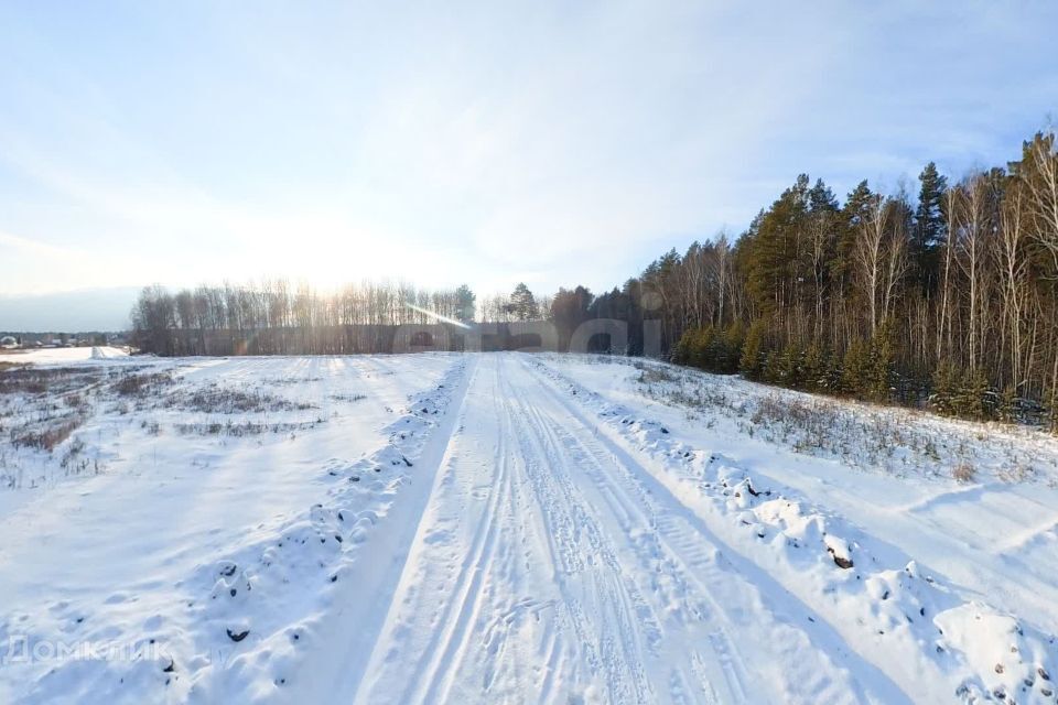 земля р-н Тюменский д. Посохова фото 9