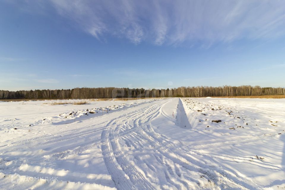 земля р-н Тюменский д. Посохова фото 5