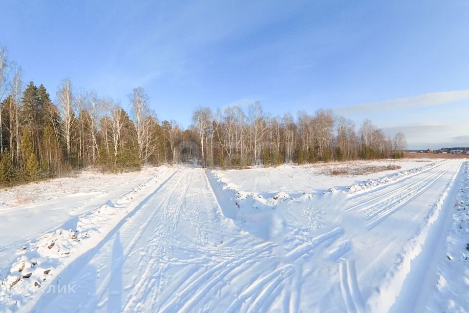 земля р-н Тюменский д. Посохова фото 10