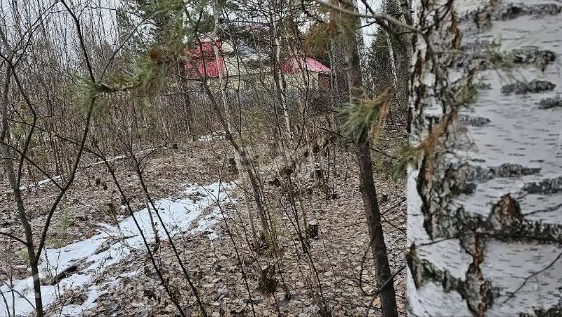 земля г Тюмень Тюмень городской округ, СНТ Лесная Поляна фото 5