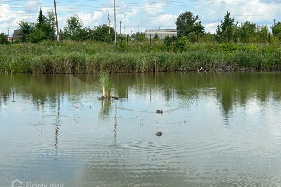 земля р-н Тюменский с Перевалово Дорожная фото 3