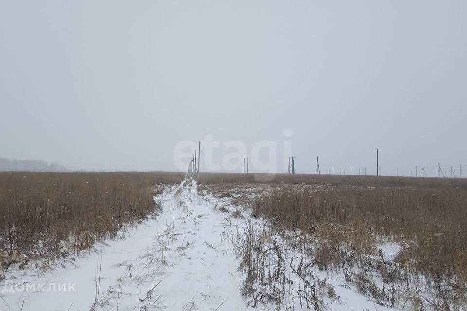 земля р-н Тюменский д Ушакова ул Вольная Переваловское сельское поселение фото 7