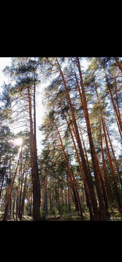 дом городской округ Ступино д Соколова Пустынь ул Соколиная 85 км, Ступино, Каширское шоссе фото 28