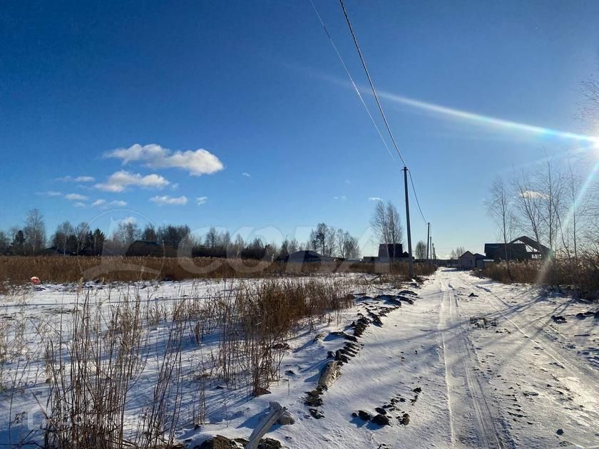 земля г Тюмень Тюмень городской округ, СО Ясень фото 6