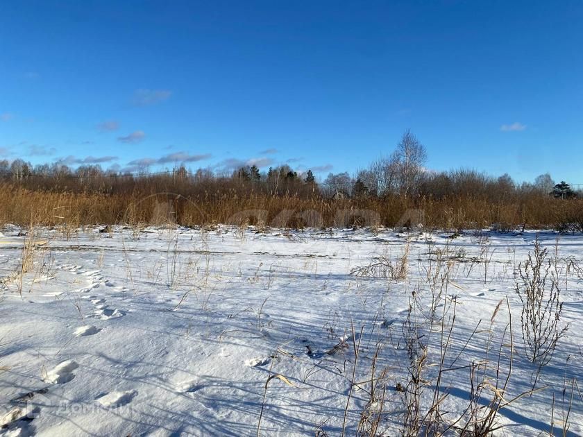 земля г Тюмень Тюмень городской округ, СО Ясень фото 8