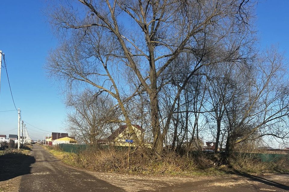 земля городской округ Воскресенск Рыболово, Москва фото 8