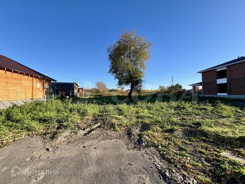 земля р-н Тюменский с. Луговое фото 3