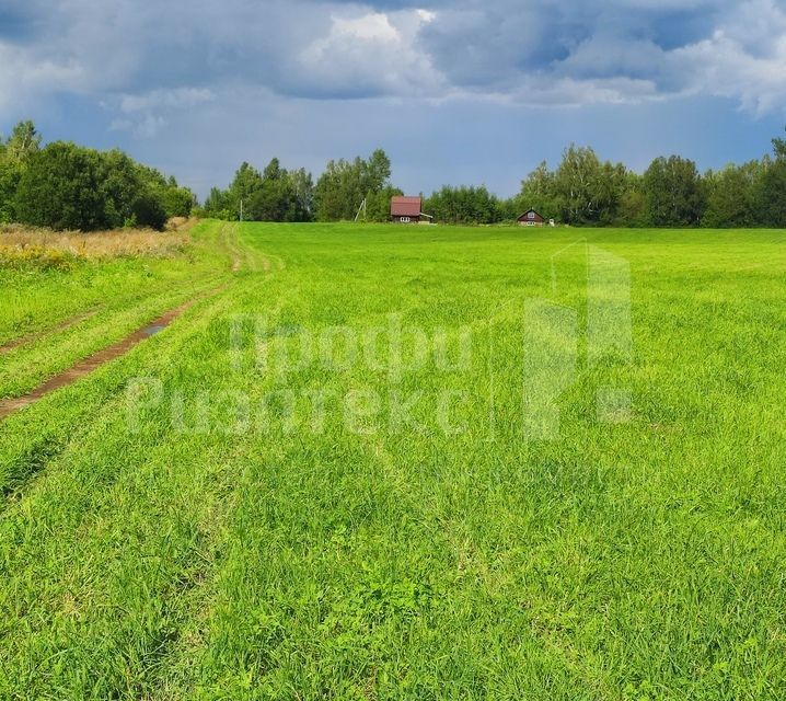 земля р-н Дальнеконстантиновский фото 2