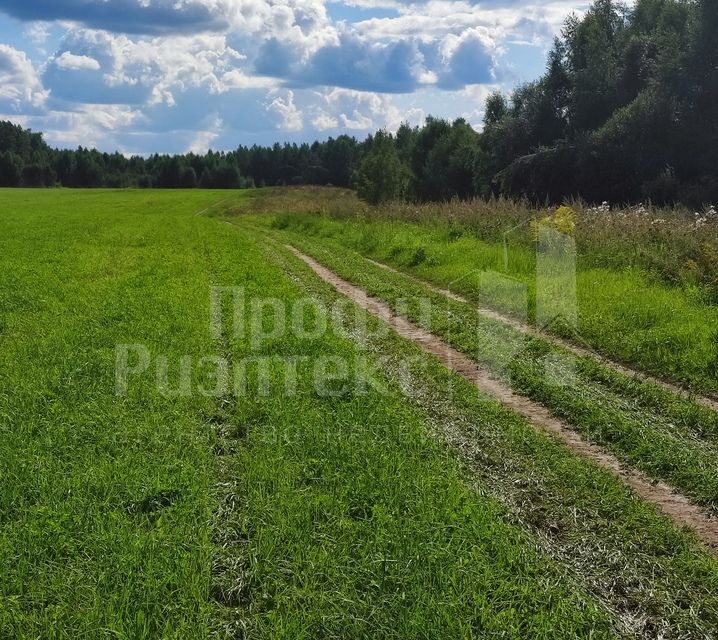 земля р-н Дальнеконстантиновский фото 3