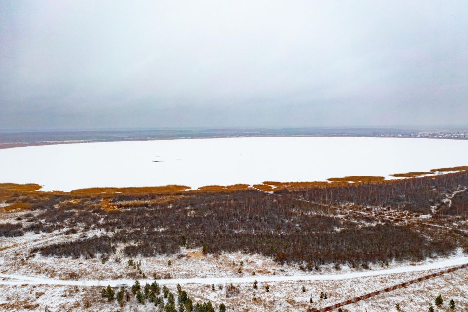 дом р-н Каслинский д Григорьевка ул Малиновая 21 фото 3