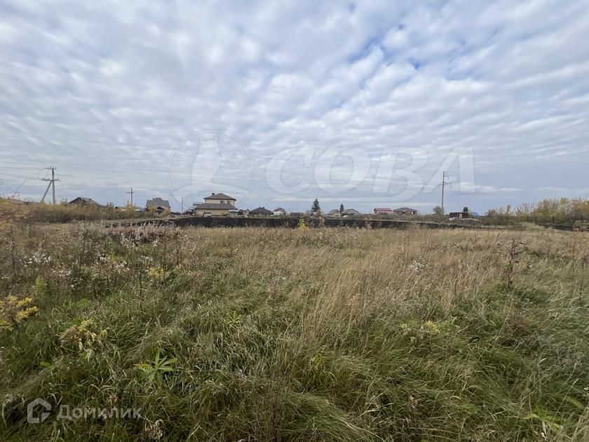 земля р-н Тюменский с. Луговое фото 6