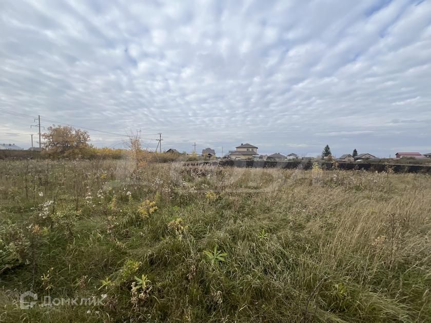 земля р-н Тюменский с. Луговое фото 7