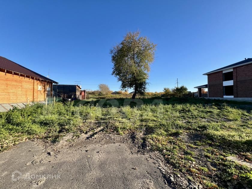 земля р-н Тюменский с. Луговое фото 5