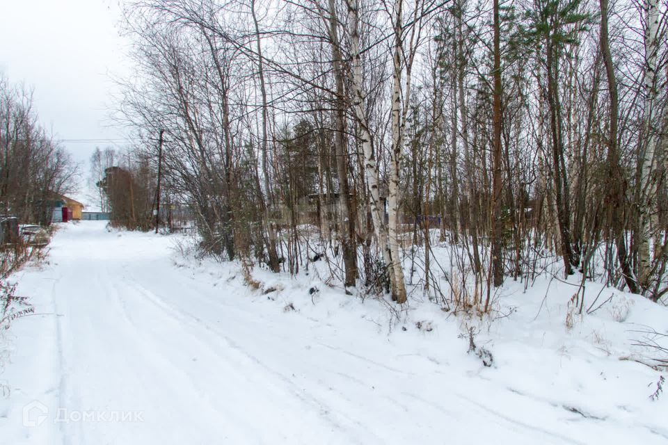 земля Сургут городской округ, СНТ Газовик, Брусничная улица, 49 фото 8