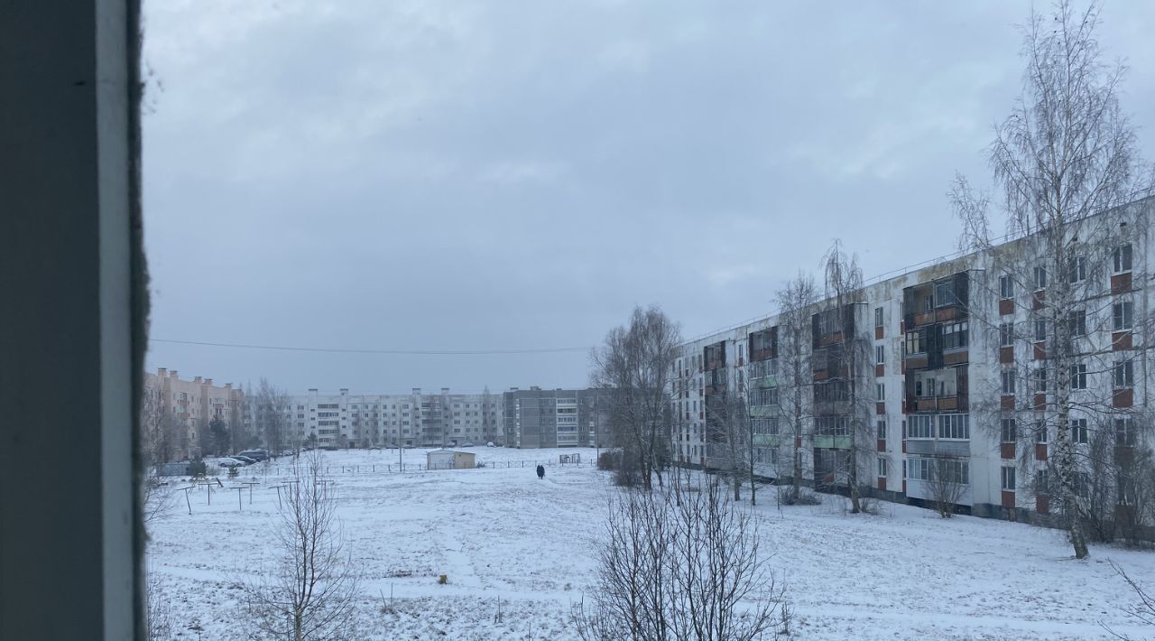 квартира р-н Дедовичский рп Дедовичи ул Октябрьская 39а городское поселение Дедовичи фото 26