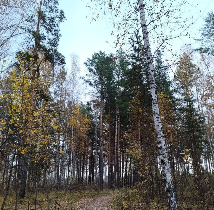 дом р-н Аргаяшский снт Электровозник Дербишевское с/пос, ул. 10-я фото 27