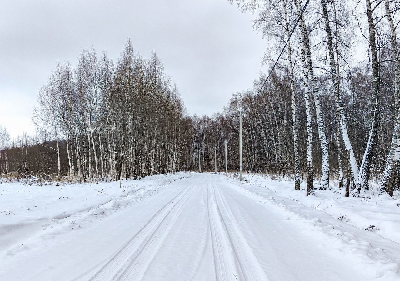 земля городской округ Раменский 53 км, коттеджный пос. Новое Давыдово, Луговая ул, Воскресенск, Рязанское шоссе фото 6