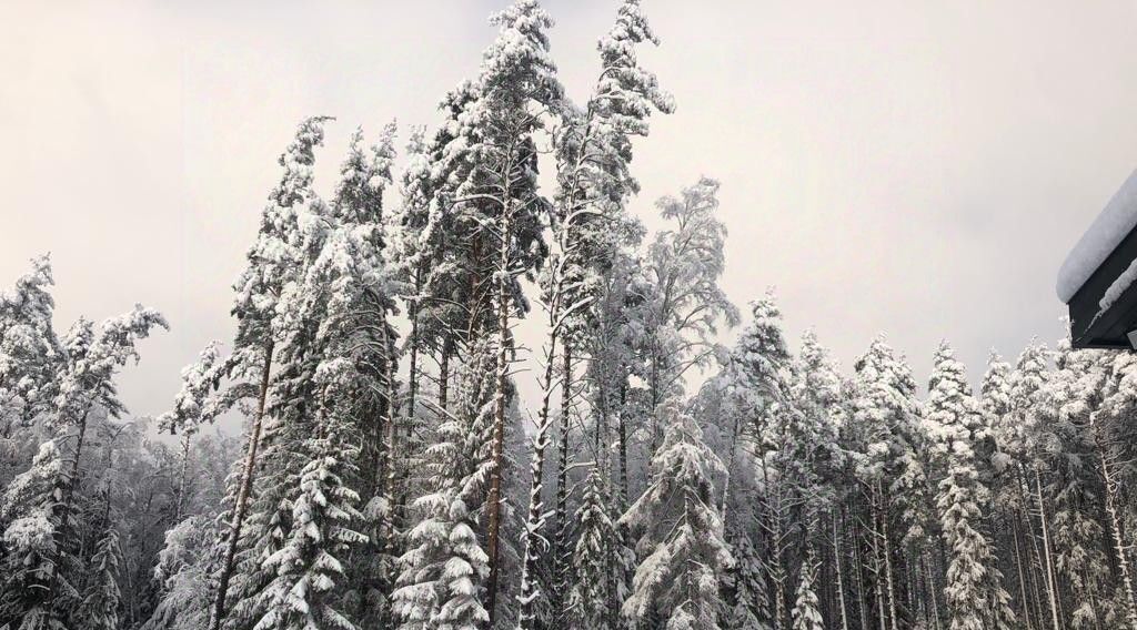 дом р-н Выборгский Приморское городское поселение, ул. Дубковая, 1 фото 17