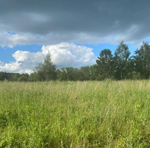 снт Солнечная поляна Шуваевский сельсовет, ДНТ, ул. Западная фото