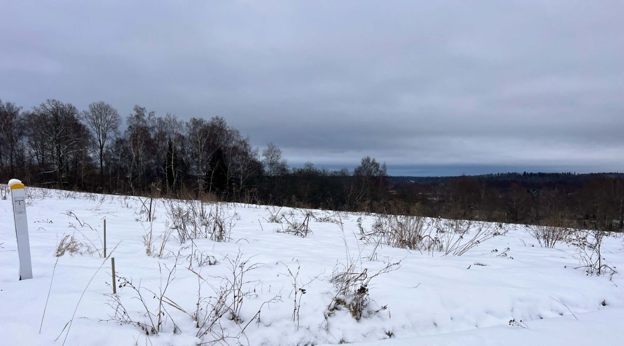 земля городской округ Истра д Карцево 768 фото 12