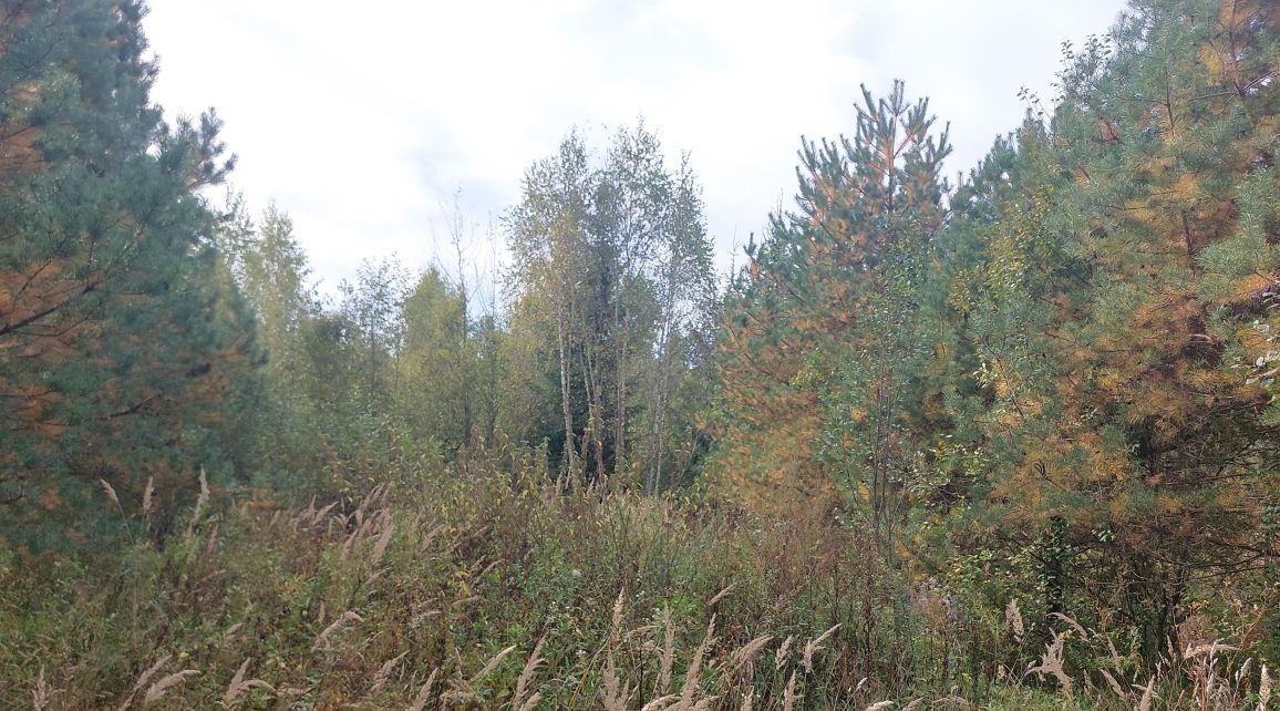 офис городской округ Наро-Фоминский г Верея фото 3