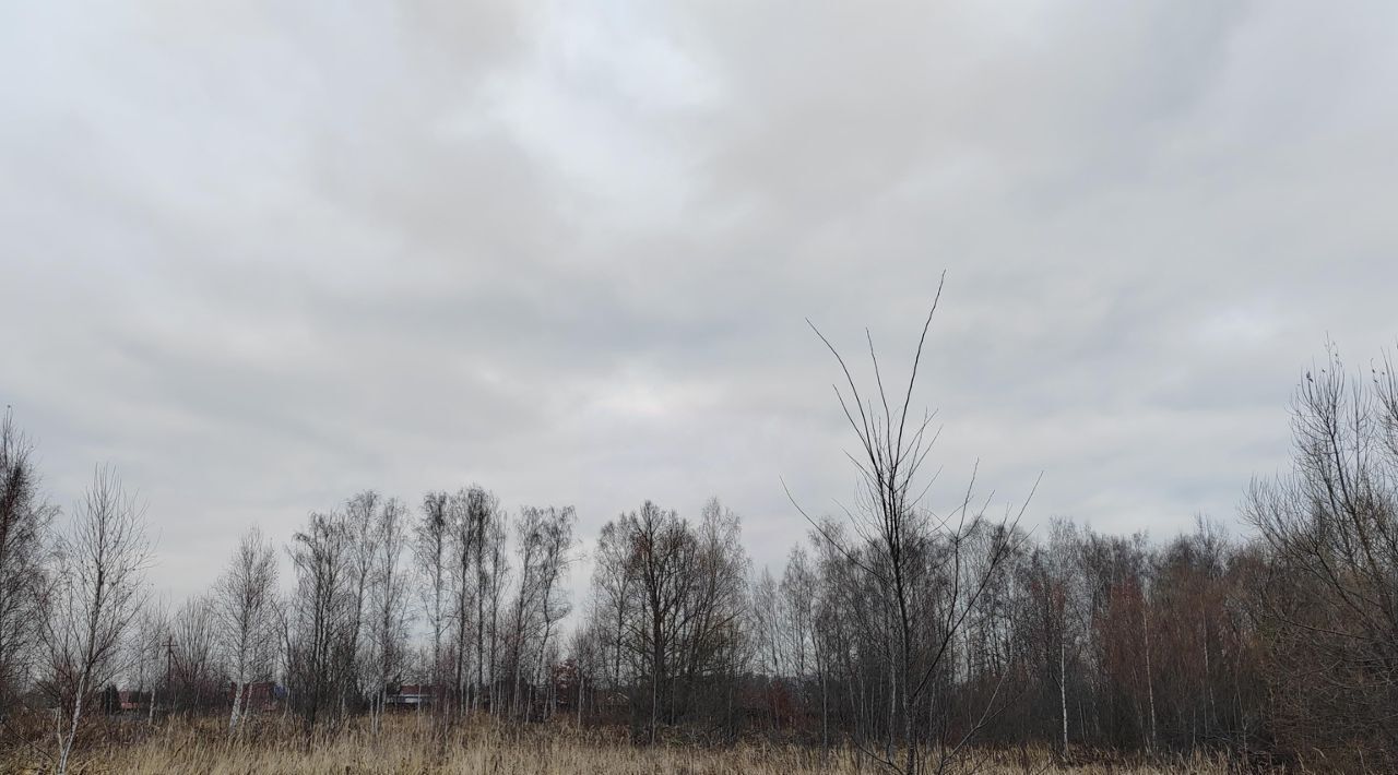 офис городской округ Чехов с Троицкое фото 1