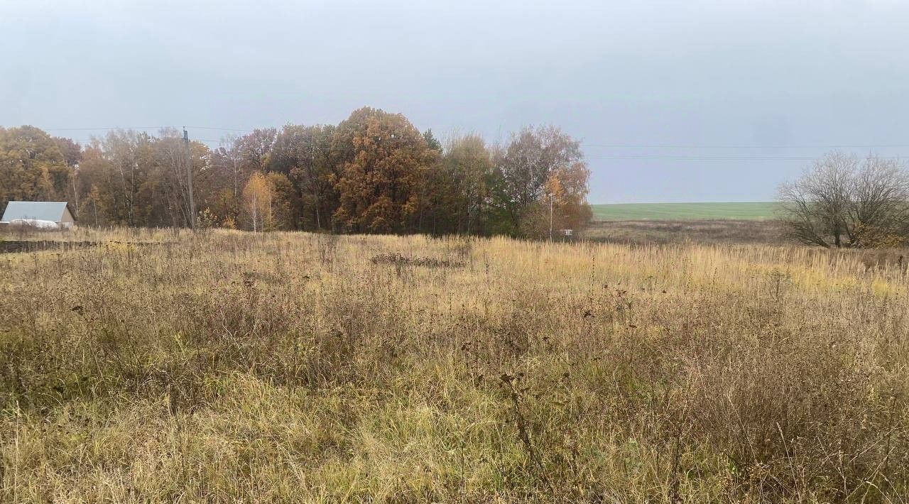 офис городской округ Зарайск д Новоселки фото 1