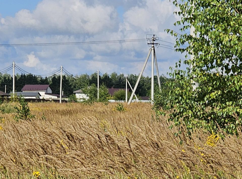 офис городской округ Луховицы п Совхоза Астапово фото 3