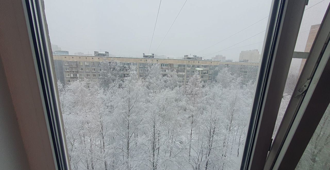 квартира г Санкт-Петербург метро Озерки пр-кт Луначарского 37к/2 округ Сосновское фото 18