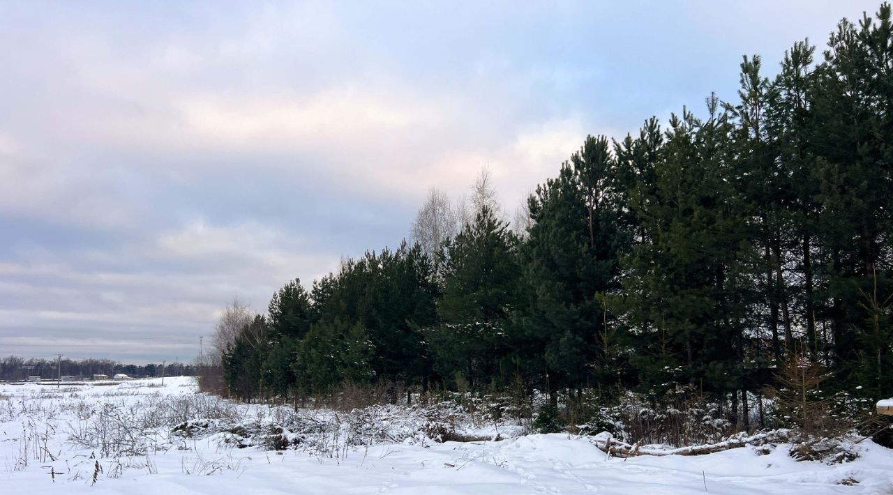 земля городской округ Пушкинский с Братовщина проезд 5-й Октябрьский фото 8