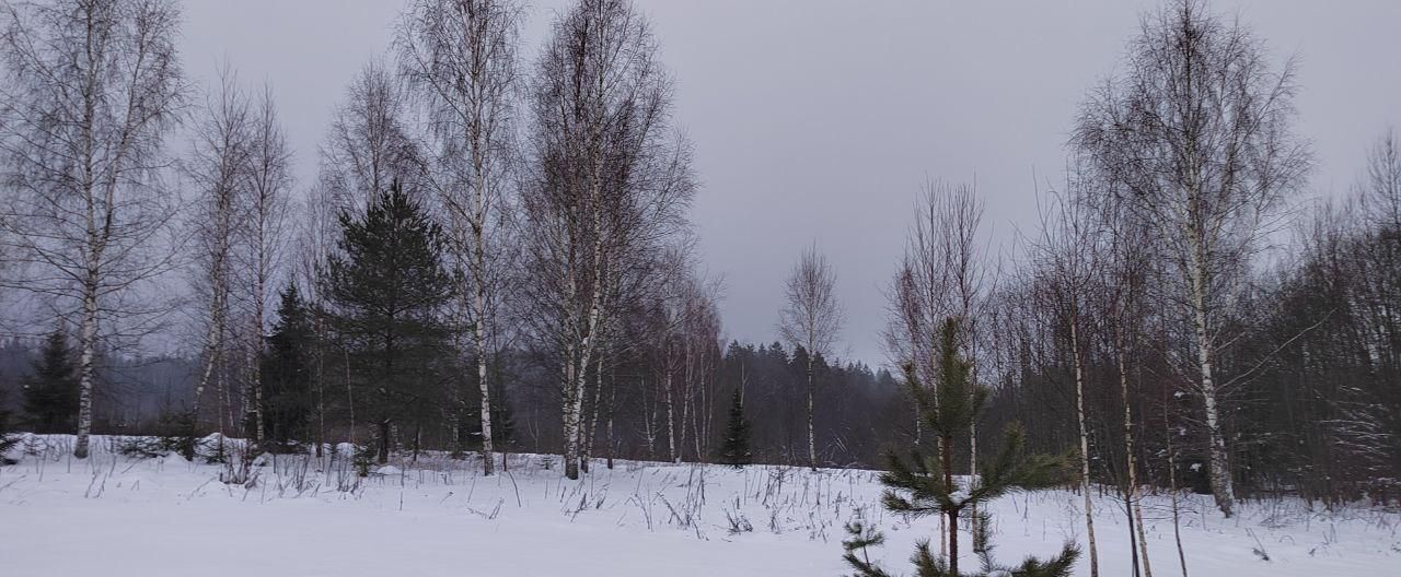 земля направление Белорусское (запад) ш Минское 37 км, 46Н-07155, Звенигород фото 9