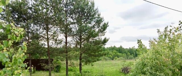 Переславль-Залесский городской округ, Залесье СНТ фото