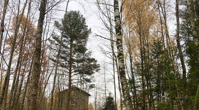 земля Переславль-Залесский городской округ фото