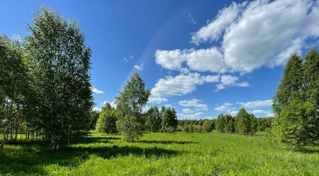 земля г Переславль-Залесский Василевские дачи кп фото 1