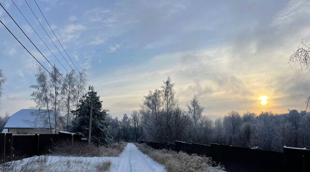 Заповедный лес кп фото