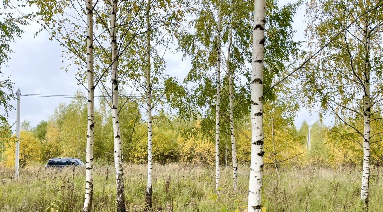 земля р-н Переславский с Иванисово Переславль-Залесский городской округ фото 5