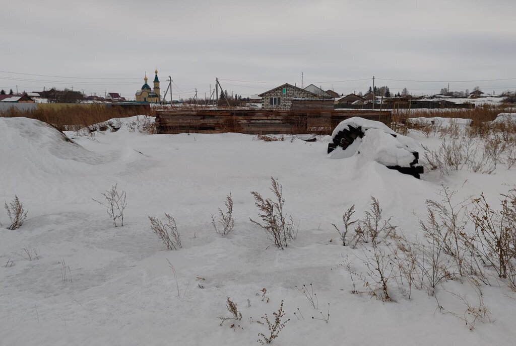 земля р-н Омский с Богословка ул Нижняя Богословское сельское поселение фото 1