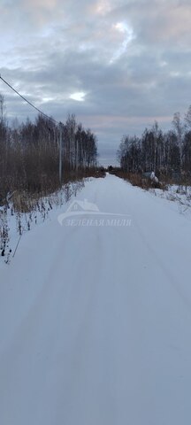 р-н Центральный снт Поле чудес Чудес улица фото