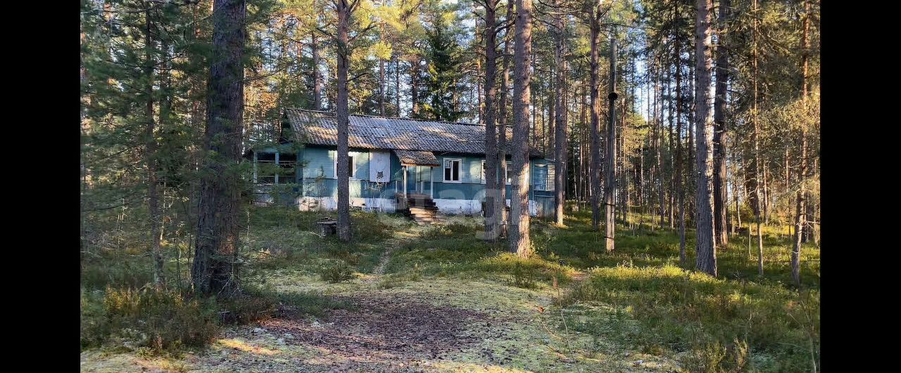 земля р-н Медвежьегорский пгт Пиндуши Повенецкое городское поселение, местечко Войгуба фото 13