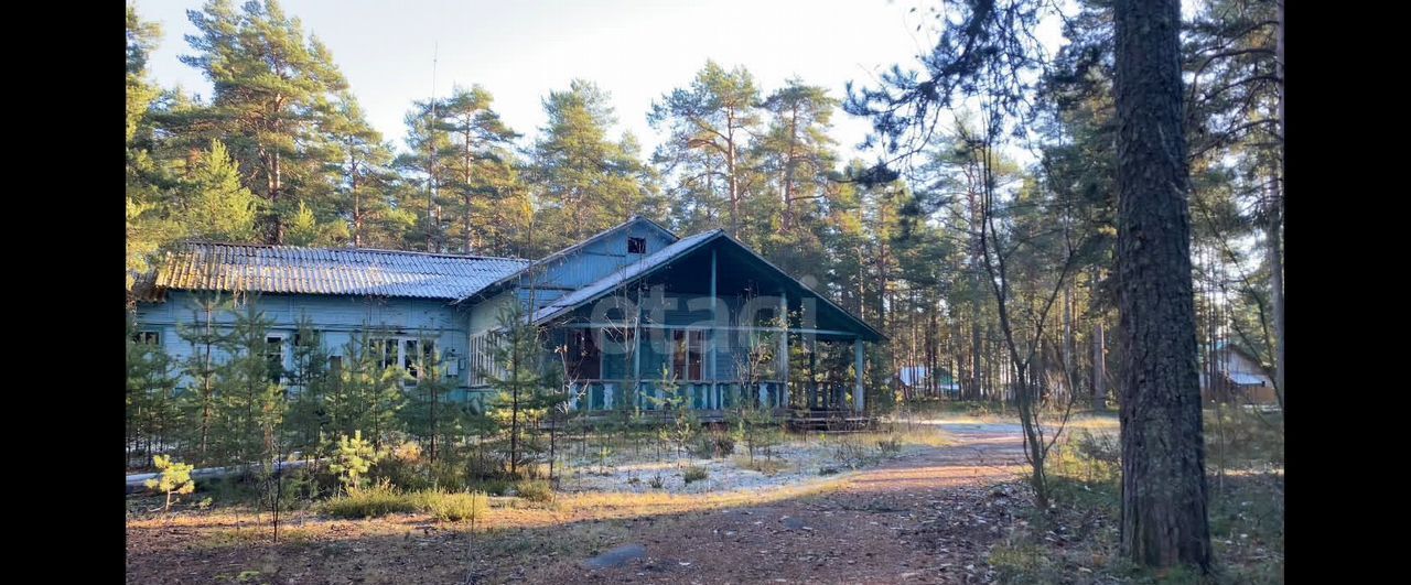 земля р-н Медвежьегорский пгт Пиндуши Повенецкое городское поселение, местечко Войгуба фото 16