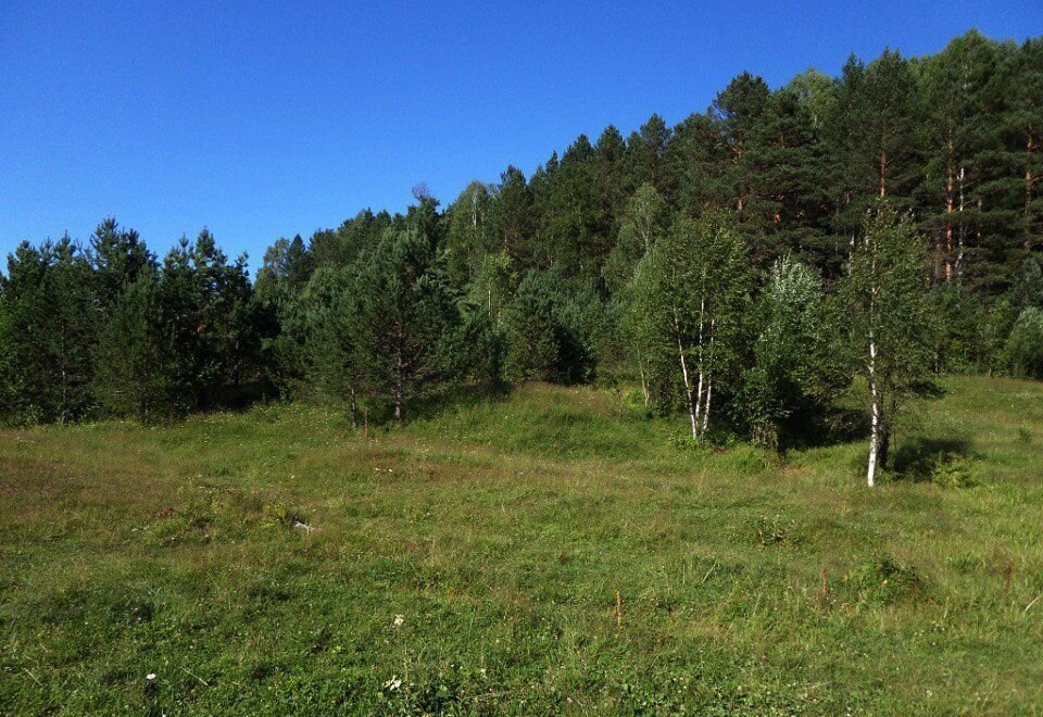 земля р-н Турочакский с Старый Кебезень Турочак фото 2