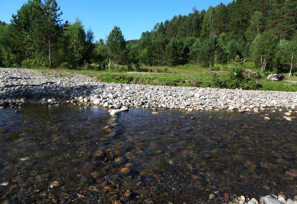 земля р-н Турочакский с Старый Кебезень Турочак фото 4