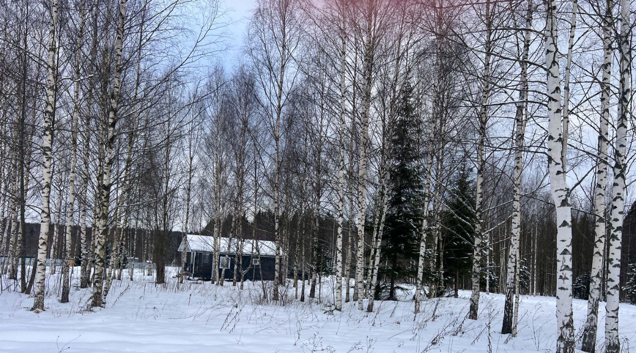 земля городской округ Сергиево-Посадский г Краснозаводск «Холмогоры» фото 2