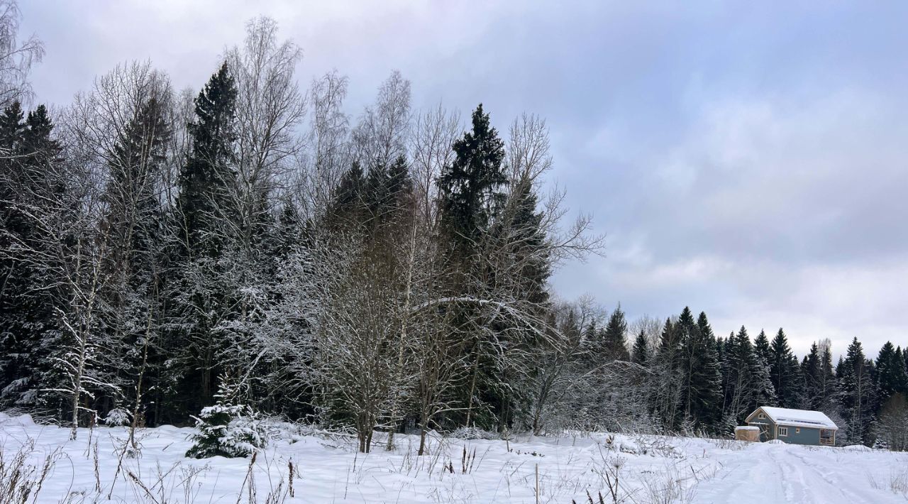 земля городской округ Сергиево-Посадский г Краснозаводск «Холмогоры» фото 8