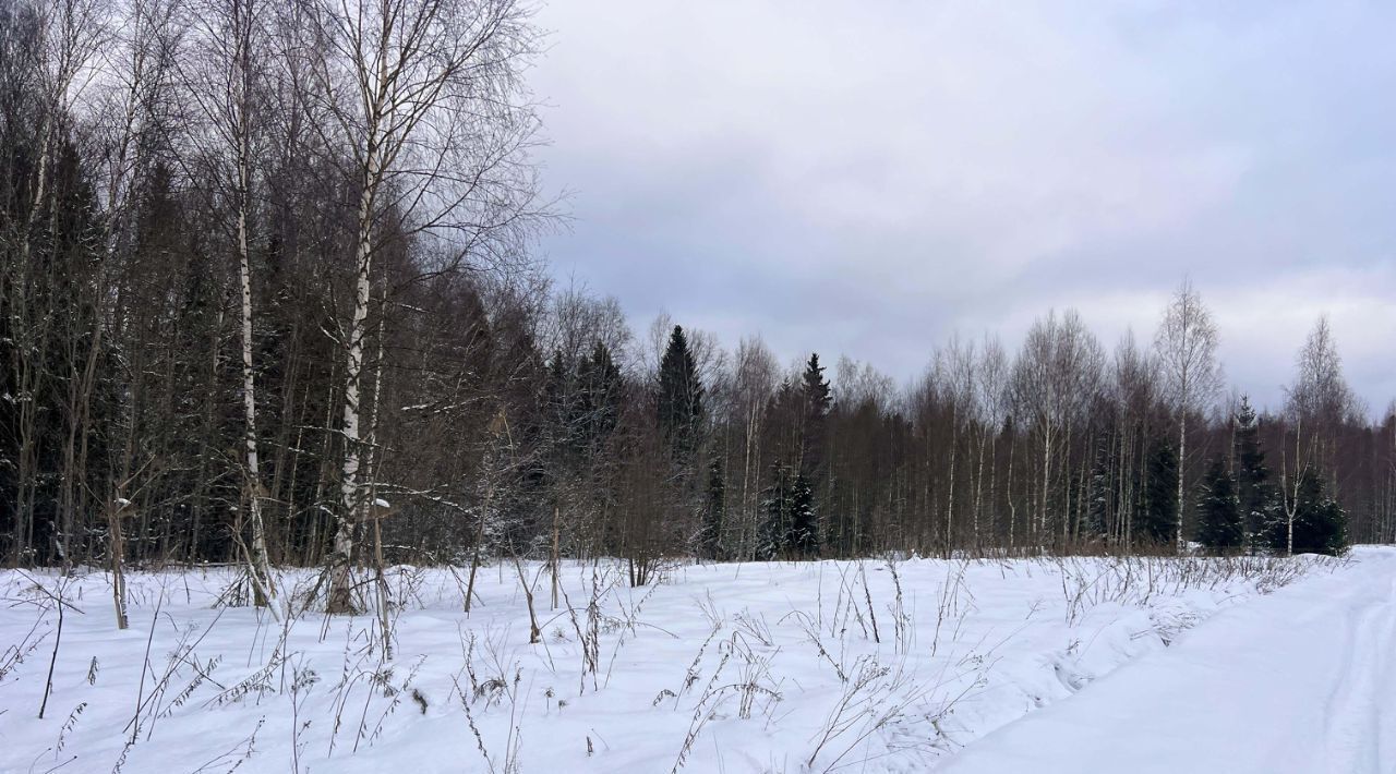 земля городской округ Сергиево-Посадский г Краснозаводск «Холмогоры» фото 19