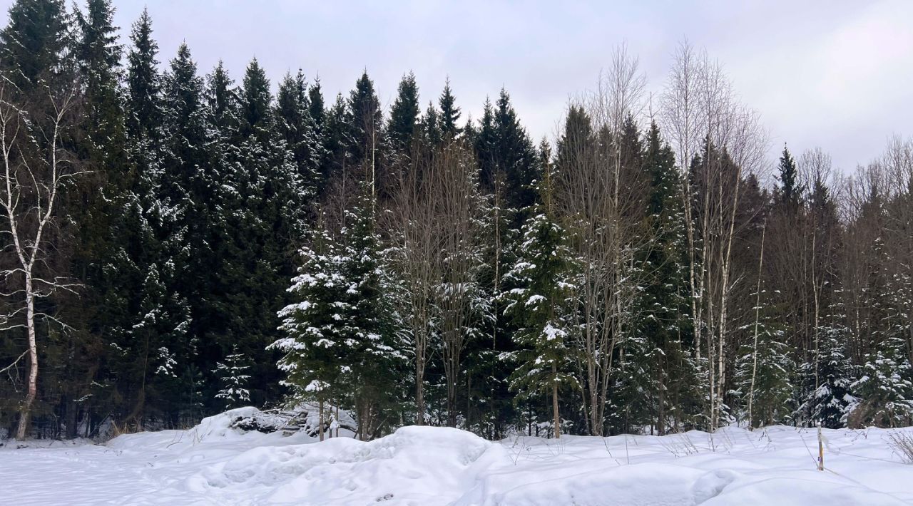 земля городской округ Сергиево-Посадский г Краснозаводск «Холмогоры» фото 17