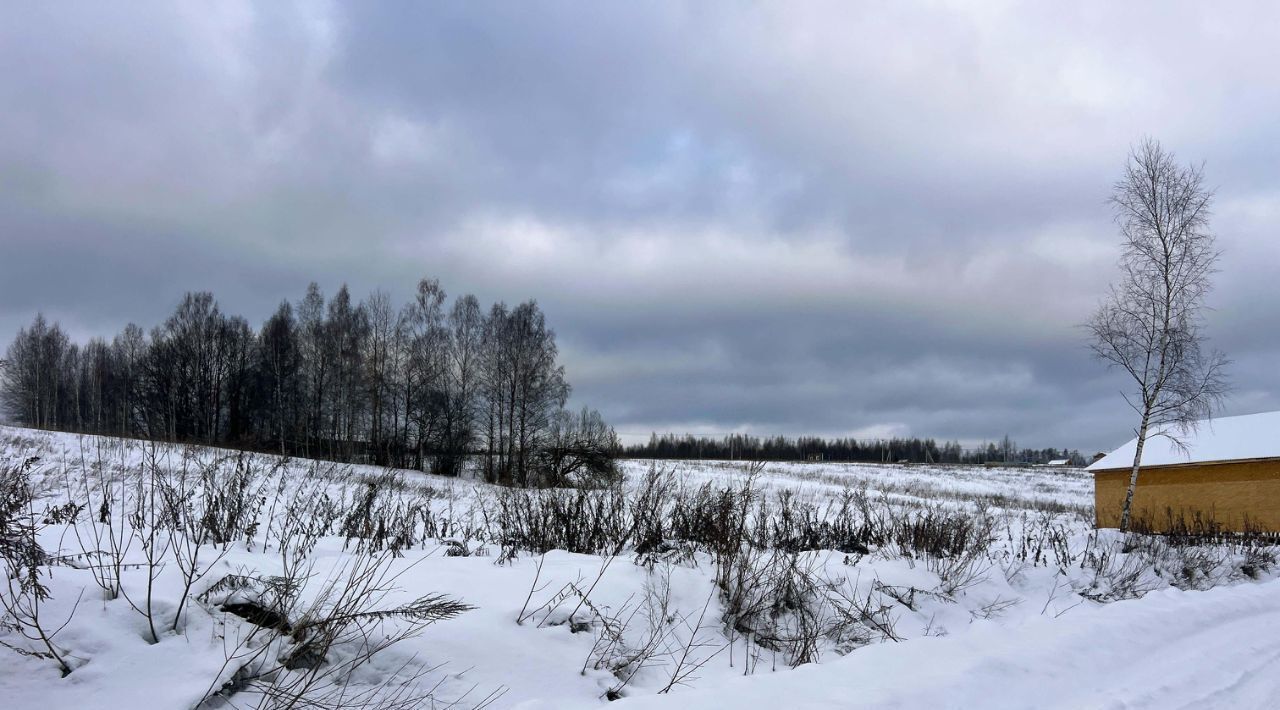 земля городской округ Сергиево-Посадский г Краснозаводск «Холмогоры» фото 25