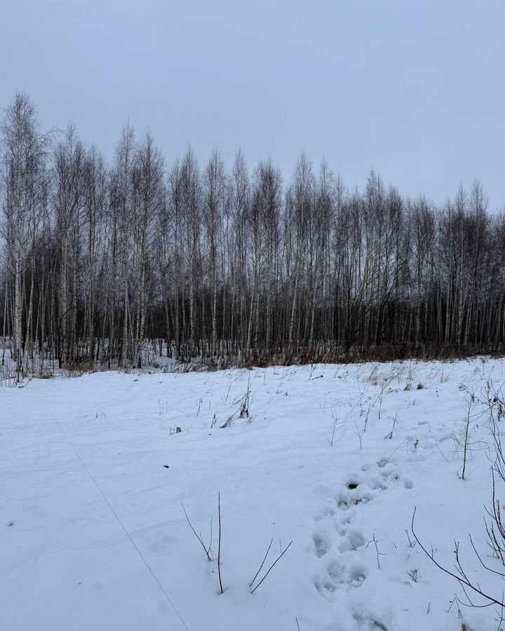 земля р-н Богородский с Дуденево Дзержинск фото 3