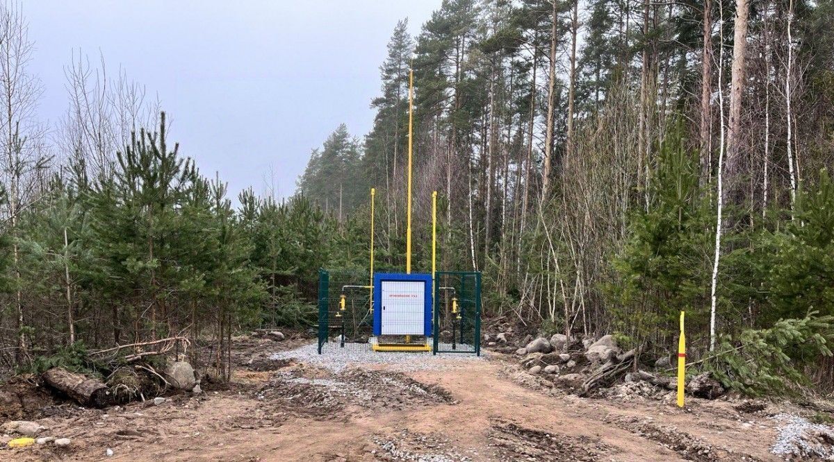 земля р-н Всеволожский д Озерки Приморское городское поселение, Выборгский район фото 12