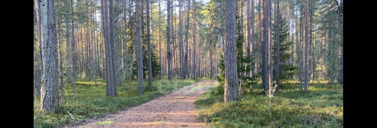 земля р-н Медвежьегорский пгт Повенец фото 13